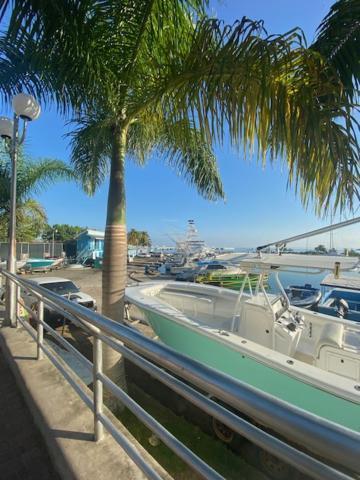 Ocho Rios Vacation Resort Property Rentals Ngoại thất bức ảnh